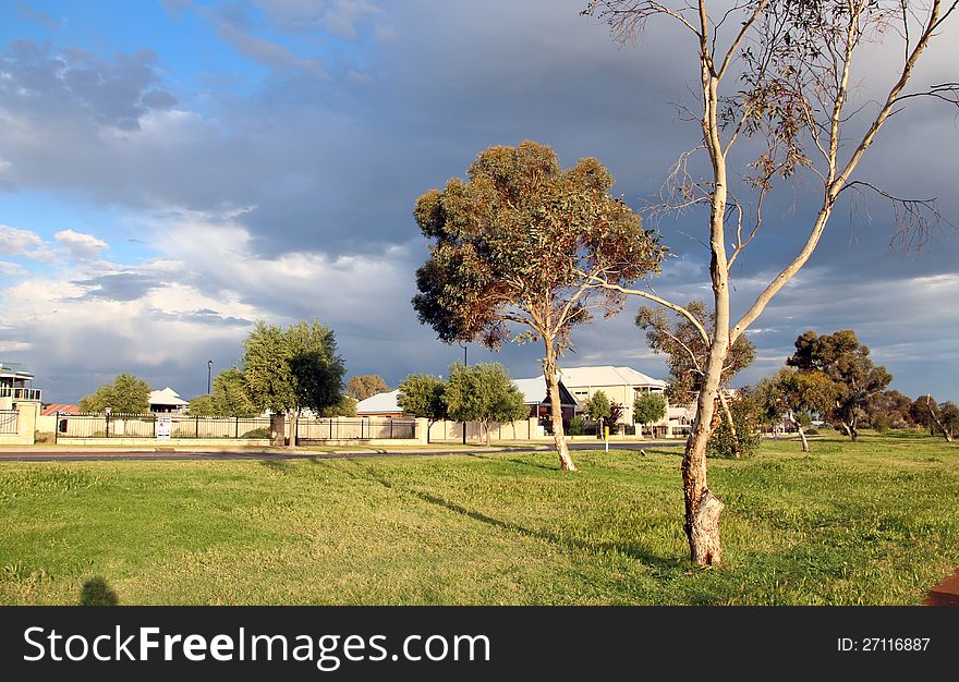 A Stormy Parkland Landscape