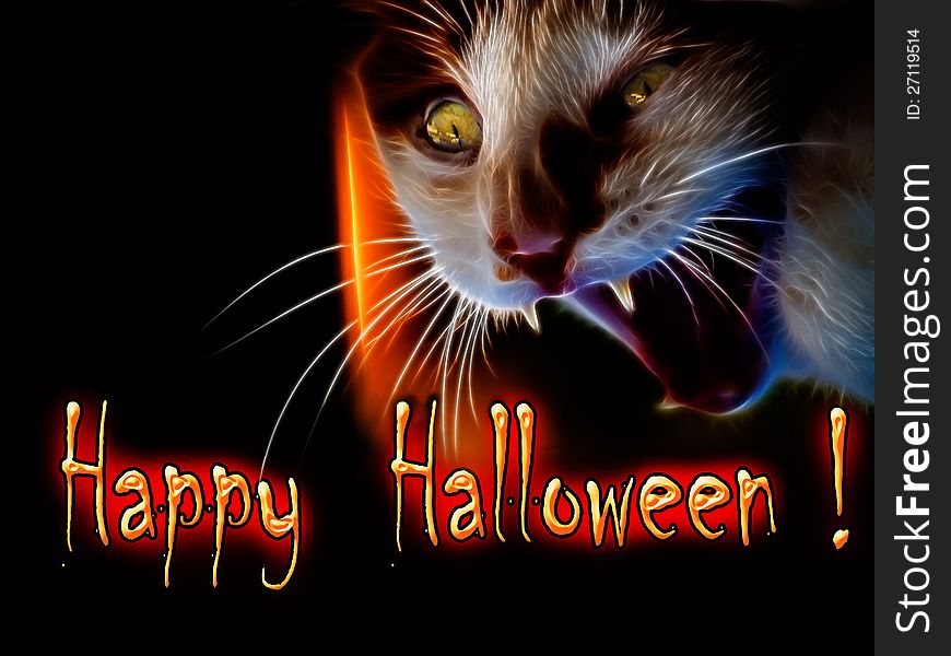 Angry and scary cat in the darkness of Halloween. Angry and scary cat in the darkness of Halloween