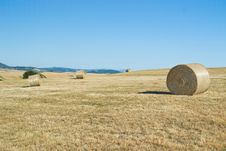 Hay Bales In Tuscany &x28;Italy&x29; Field Stock Images Hay Bales In Tuscany &x28;Italy&x29; Field Stock Images