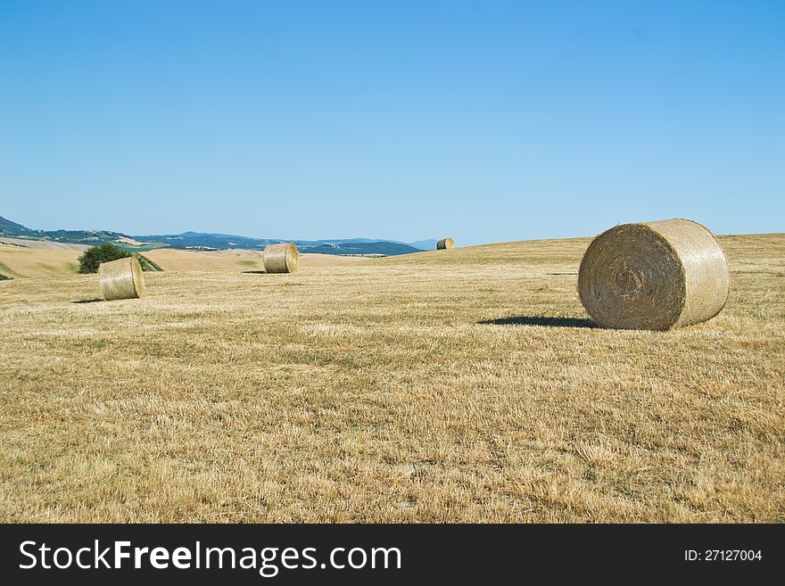 Hay bales in Tuscany &x28;Italy&x29; field