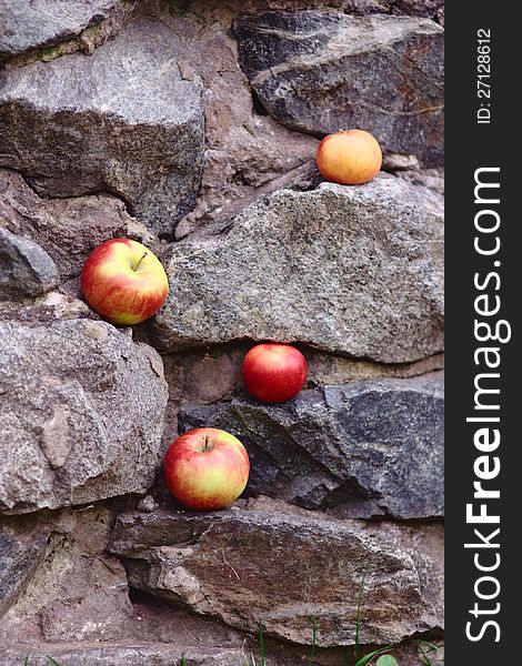 Background with red apples on stones. Background with red apples on stones