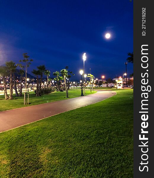 Nighttime beauty in a public park - grass and light showcased