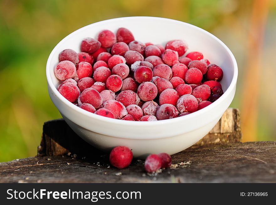 A bowl of large frozen cranberries on a tree stump. A bowl of large frozen cranberries on a tree stump