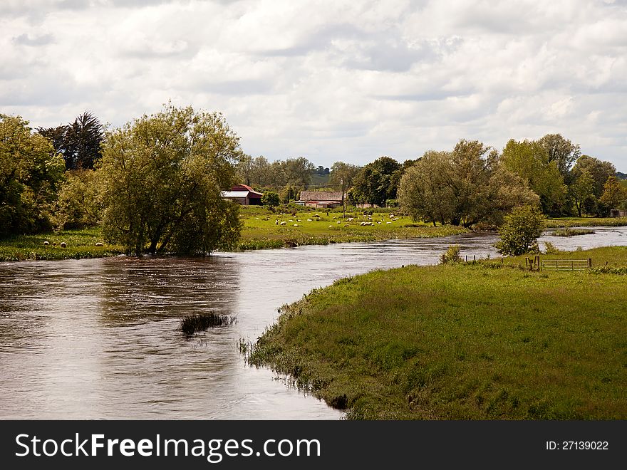 River landscape in summer, Ireland. River landscape in summer, Ireland