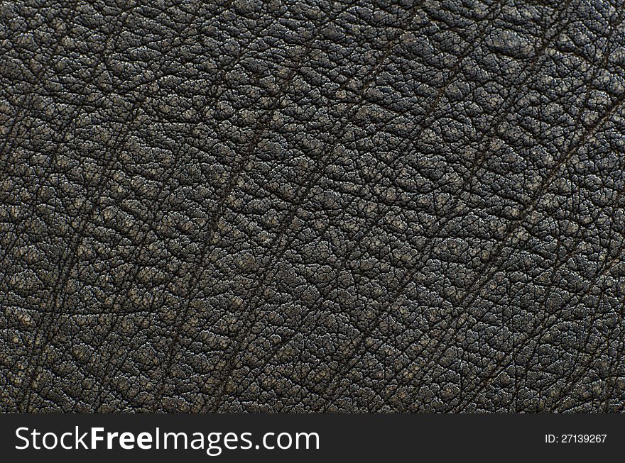 Brown Leather Texture