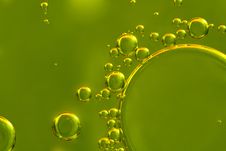 Oil Drops Closeup Stock Photo Oil Drops Closeup Stock Photo