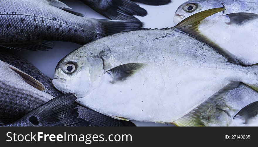 Fishes for sale at a market.