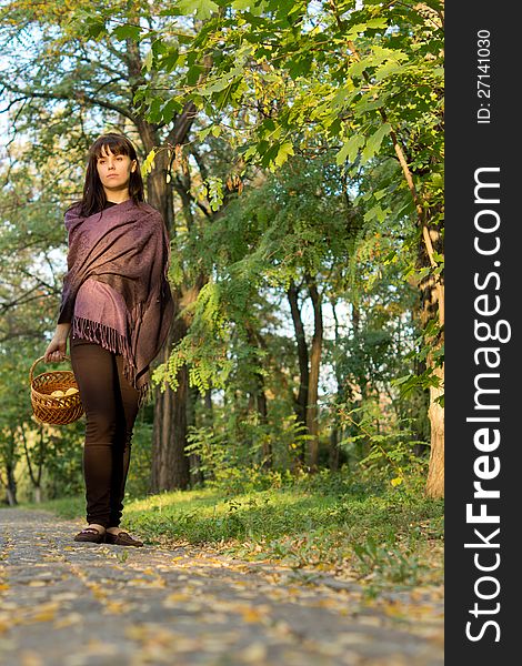 Low angle view of an attractive brunette woman with basket of apples standing on a walkway in woodland. Low angle view of an attractive brunette woman with basket of apples standing on a walkway in woodland