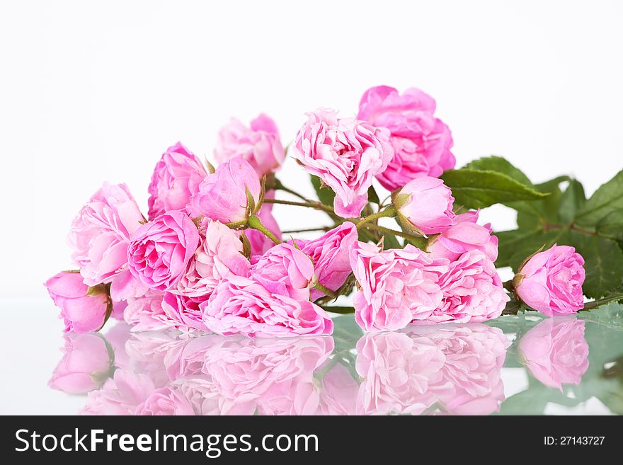 Bouquet of pink roses isolated on white