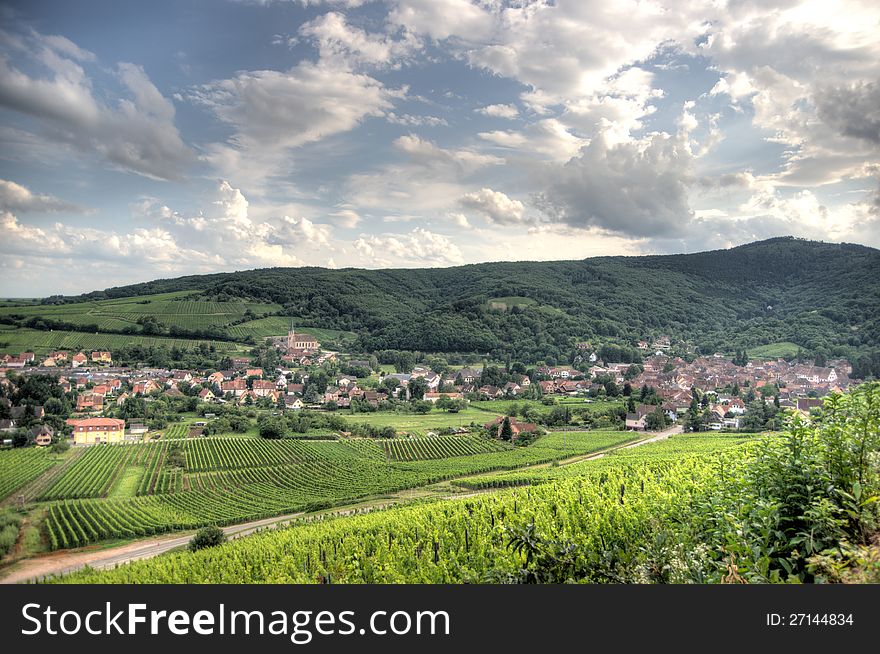 Alsace landscape and vinewyard