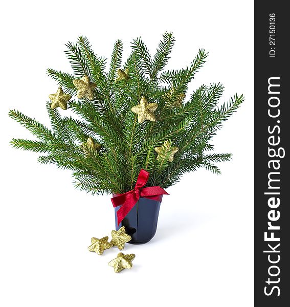 Christmas tree decorated with stars isolated on white background