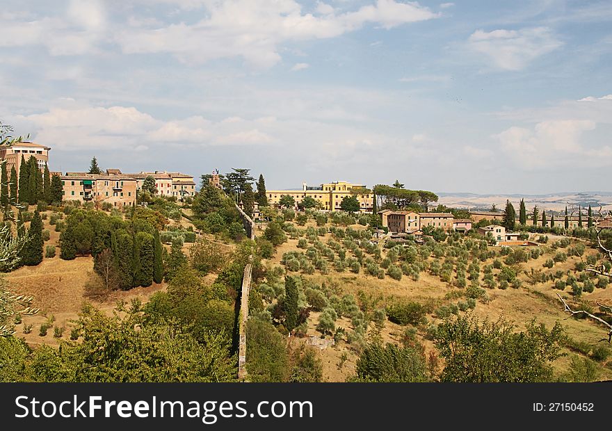 Tuscan landscape in a summer afternoon, Siena, Tuscany, Italy