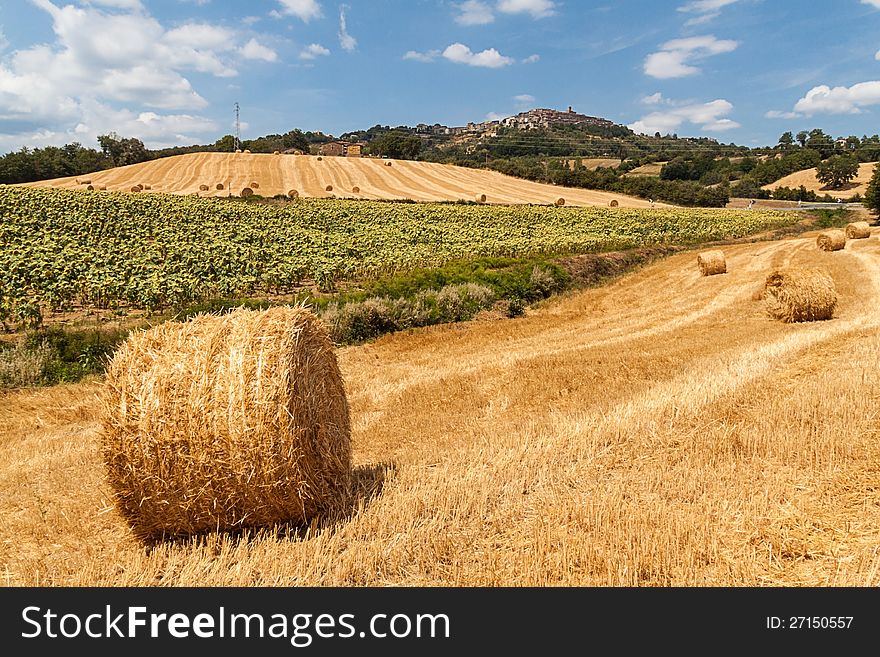 Tuscan countryside