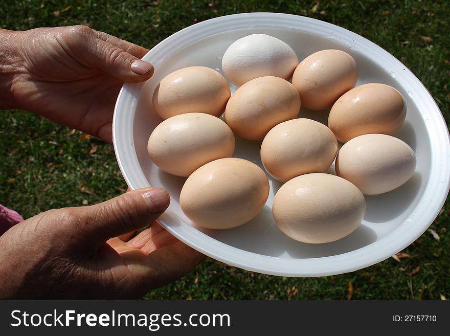 Dish With Ten Large Eggs.