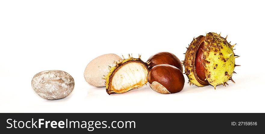 Horse-chestnuts and some pebble on white background. Horse-chestnuts and some pebble on white background