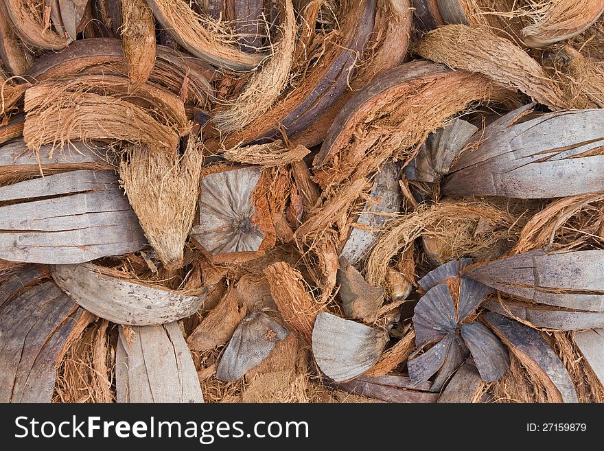 Background of dried spathe are combined with the disorder. Background of dried spathe are combined with the disorder.