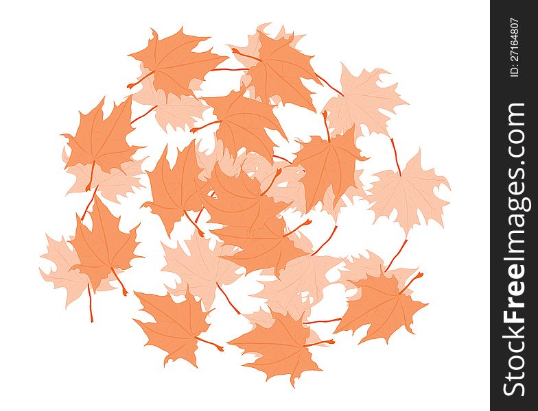 Maple leaves