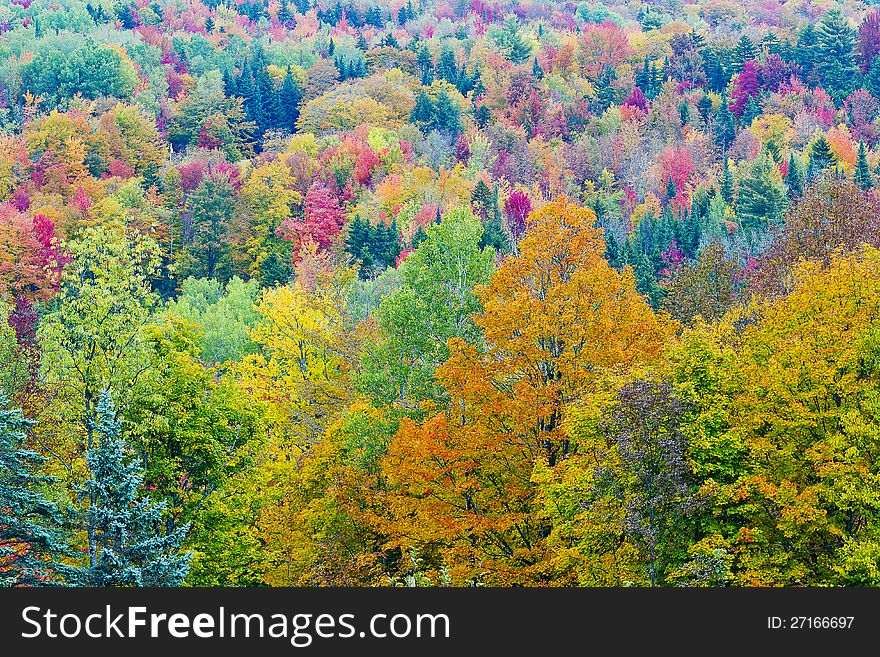 Burke Mountains covered with foliage colors.