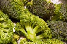 Green Fresh Broccoli Stock Photo Green Fresh Broccoli Stock Photo