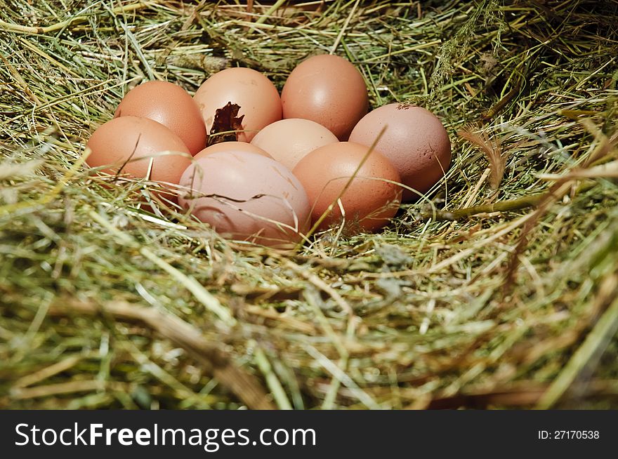 Hens' eggs in a nest surrounded by hay. Hens' eggs in a nest surrounded by hay.