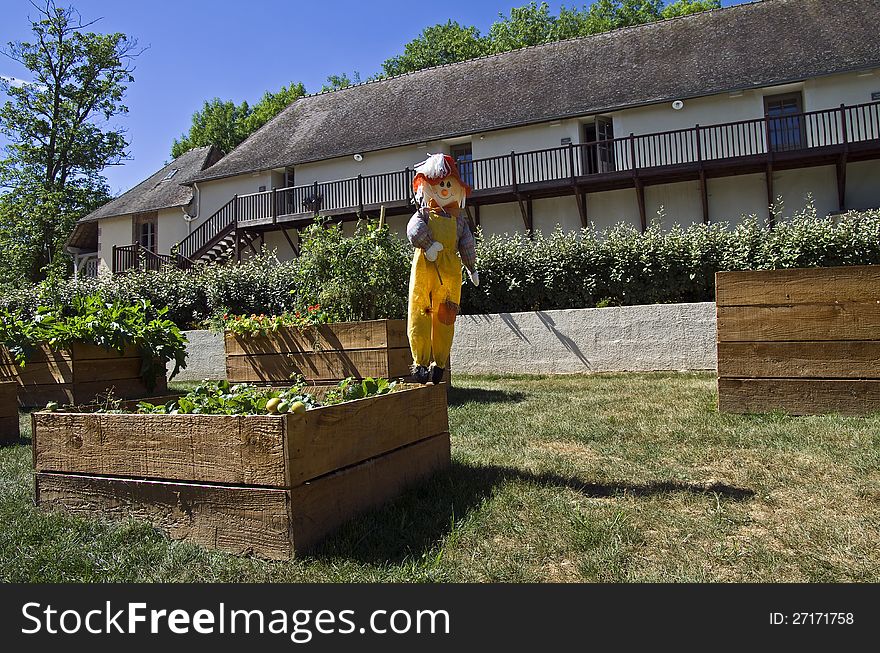 Funny scarecrow in the garden with vegetables. Funny scarecrow in the garden with vegetables.