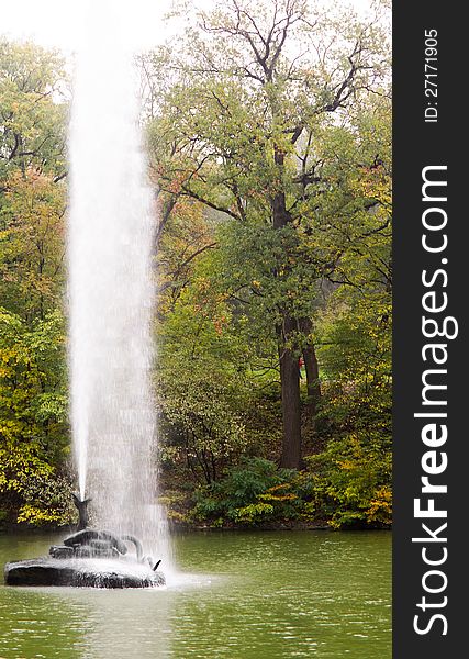 Ornamental fountain in a lake sending up a high plume of water into the air in a woodland garden
