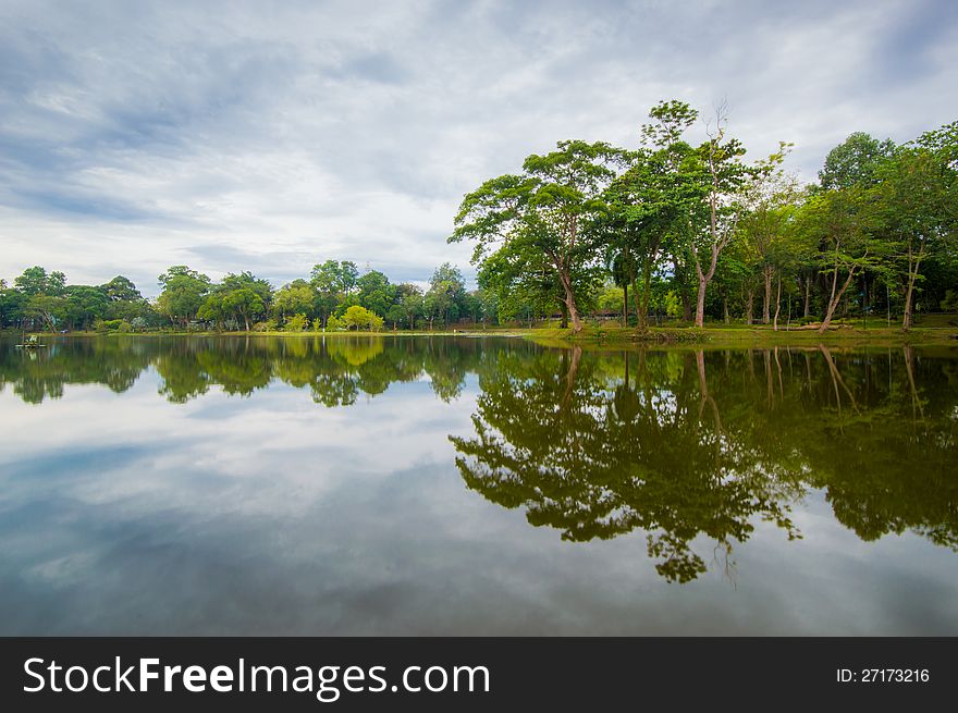 Green tree park with reflection on the water