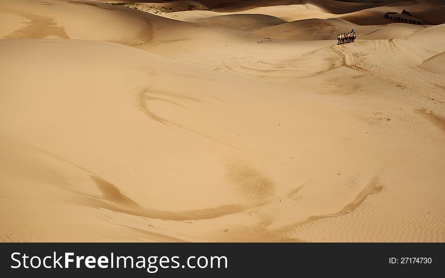 A image of desert in Sounding Sand Bay. A image of desert in Sounding Sand Bay