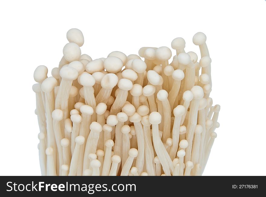 Bunch of enoki mushrooms isolated on white background. Bunch of enoki mushrooms isolated on white background