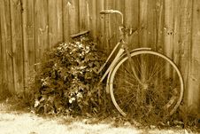 Forgotten Bicycle Royalty Free Stock Photography Forgotten Bicycle Royalty Free Stock Photography