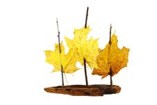 Sail Ship Royalty Free Stock Photos Sail Ship Royalty Free Stock Photos