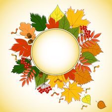 Autumn Leaves Background Royalty Free Stock Photos
