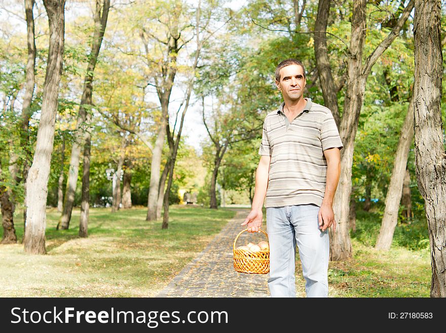Man standing on a paved footpath through woodland with a basket of fresh apples and copyspace. Man standing on a paved footpath through woodland with a basket of fresh apples and copyspace