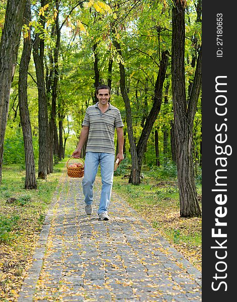 Happy man in casual clothing walking down a paved woodland path carrying a basket of apples. Happy man in casual clothing walking down a paved woodland path carrying a basket of apples
