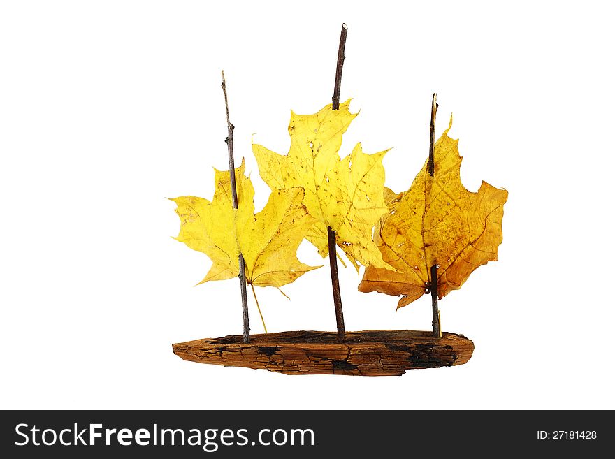 Toy sail ship from pine bark, twigs and maple leaves isolated on white