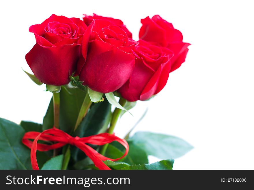 Bouquet of red roses on a white background