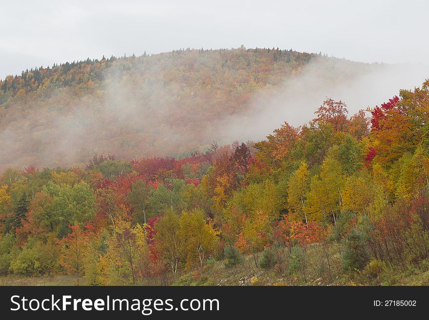 The White Mountains covered with fall foliage.