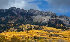 Colorado Fall-12 3732 Royalty Free Stock Photography Colorado Fall-12 3732 Royalty Free Stock Photography