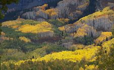 Colorado Fall-12 3751 Royalty Free Stock Photos Colorado Fall-12 3751 Royalty Free Stock Photos
