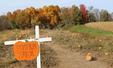 Colorful Sign Saying Pumpkin Patch Stock Image Colorful Sign Saying Pumpkin Patch Stock Image