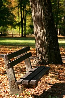 Bench In Park Stock Images Bench In Park Stock Images