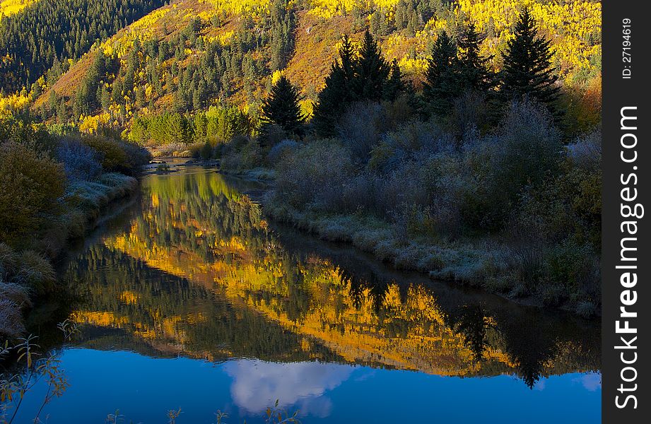 Calm mountain stream in shadow, surrounded by frosty bushes and reflecting brilliant gold, yellow, and orange fall mountainside of pines, bushes, and aspens. Calm mountain stream in shadow, surrounded by frosty bushes and reflecting brilliant gold, yellow, and orange fall mountainside of pines, bushes, and aspens.