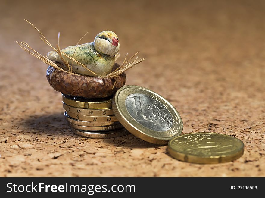 A bird and its nest, buit on a few euro. A bird and its nest, buit on a few euro