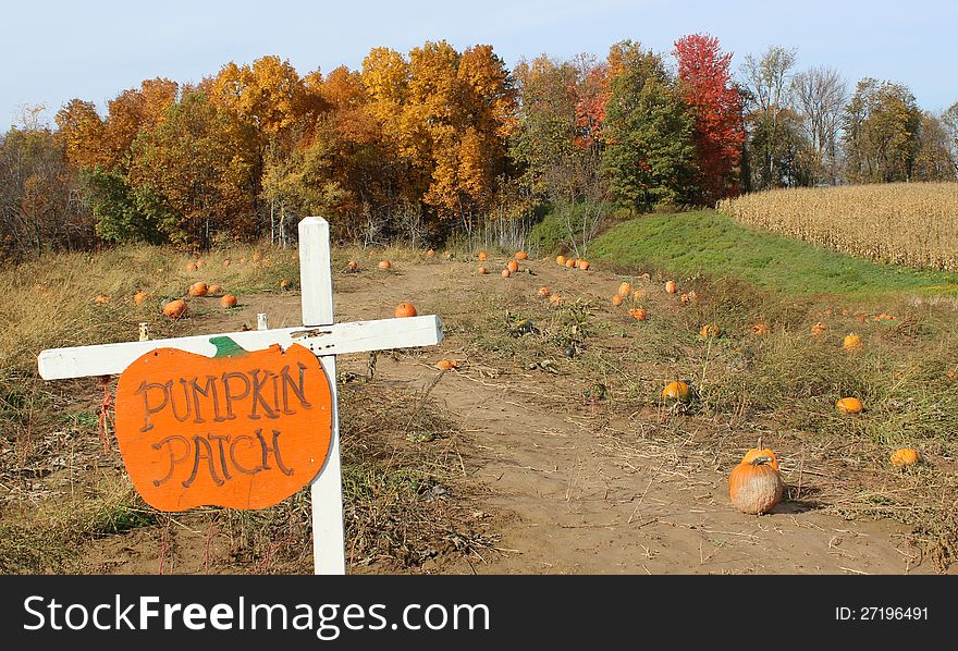 Colorful Sign Saying Pumpkin Patch