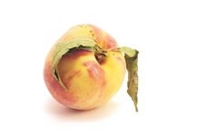 Ripe Fresh Peach With Leaves Royalty Free Stock Photo Ripe Fresh Peach With Leaves Royalty Free Stock Photo