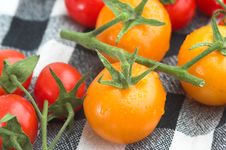 Mixed Organic Tomatoes Stock Photos Mixed Organic Tomatoes Stock Photos