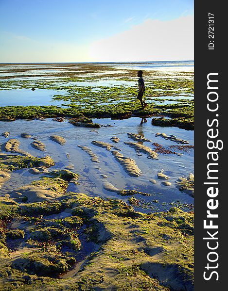 A young boy walking on the beach with his fishing rod