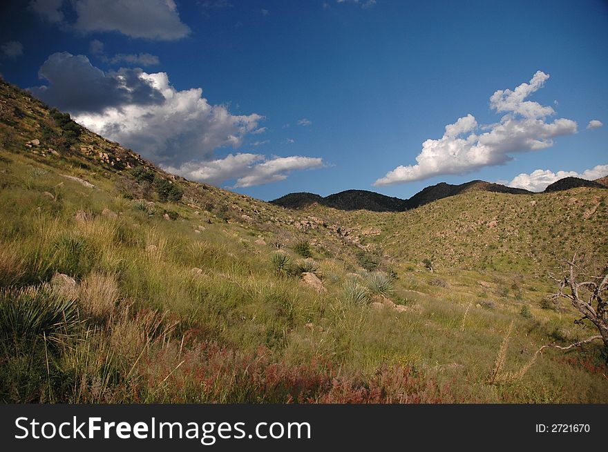 A valley in the southern Arizona mountainous landscape. A valley in the southern Arizona mountainous landscape.