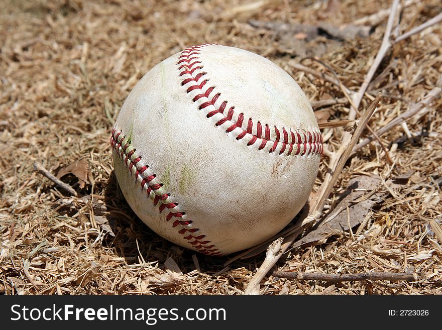 A photo of a baseballl laying in twigs / hay. A photo of a baseballl laying in twigs / hay...