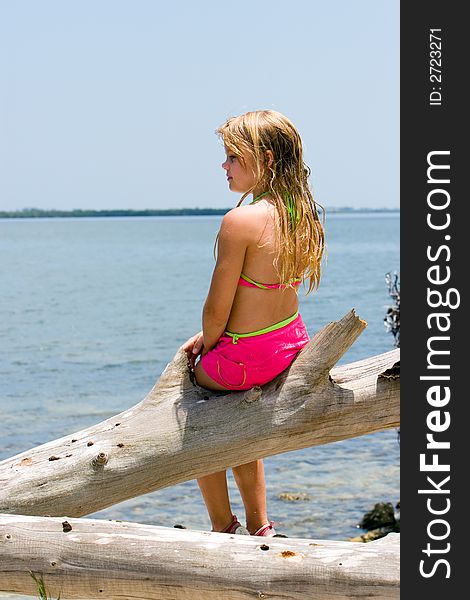 Young girl daydreaming on driftwood at waters edge. Young girl daydreaming on driftwood at waters edge